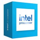Intel CPU Processor 300 BOX