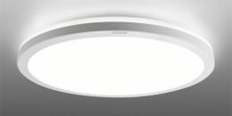 東芝 LEDシーリングライト NLEH12025C-LC (～12畳用)