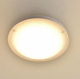 山善 ミニシーリングライト MLC-140L