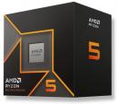 AMD CPU Ryzen 5 9600 /w Wraith S Fan