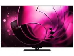 REGZA 4K有機ELテレビ 48X8900R 48インチ