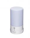 東芝 LEDランタン LKL-4000 ホワイト