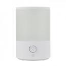おおたけ 超音波加湿器 GH-U256