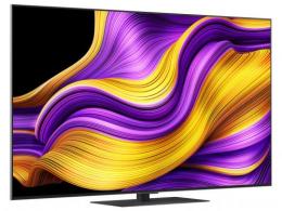 LGエレクトロニクス 4K有機ELテレビ OLED65G5PJB 65インチ