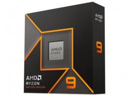 AMD CPU Ryzen 9 9900X BOX