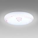ホタルクス シーリングライト HLDZ06424SG (～6畳用)