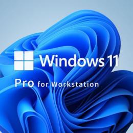 Windows 11 Pro for Workstation 64bit { DSP