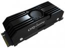 CFD SSD CSSD-M2M2TPG5NFZ