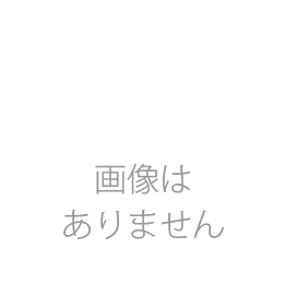 SONY ネッグスピーカー SMR-10用部品 CASE OUTER L